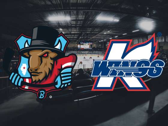 Kalamazoo Wings vs. Bloomington Bison